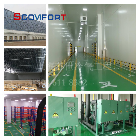 電商生鮮冷庫 上海蘇世冷氣工程冷庫專家 021-66105069