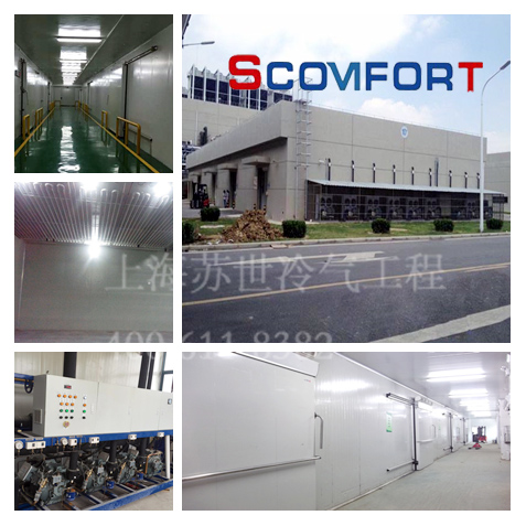 自動立體冷庫 上海蘇世冷氣工程專業冷鏈 021-66105068